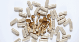 Microdosis de Psilocibina-1